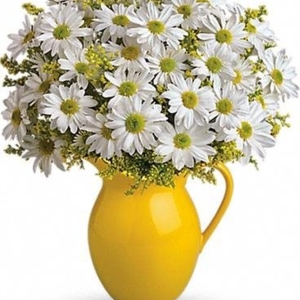 Photo of Karel's Flowers & Gifts
