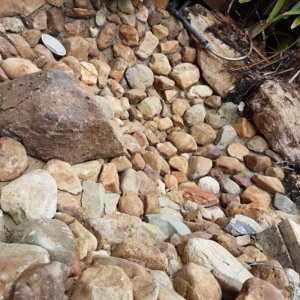 Photo of Western Landscape Supplies