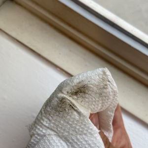 Photo of Maid In House