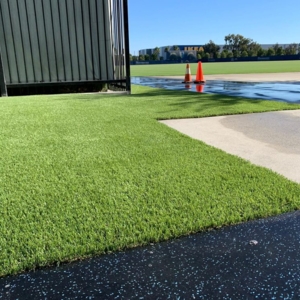 Photo of A turf