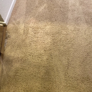 Photo of Oxi Fresh Carpet Cleaning