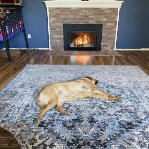 Photo of Valley Fire Place