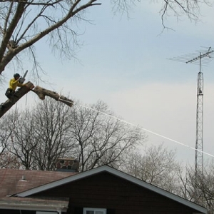 Photo of Novotny Landscaping