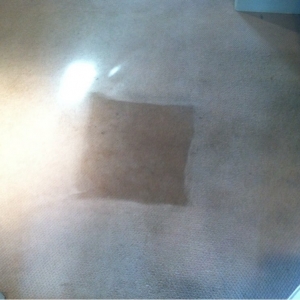 Photo of Ultimate Carpet Cleaners
