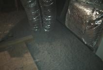 Photo of Attic Ninja