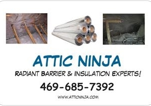 Photo of Attic Ninja