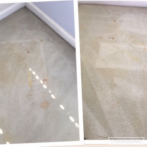 Photo of Best Carpet Cleaning