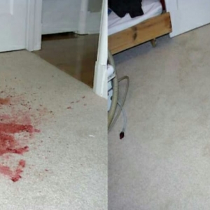 Photo of Best Carpet Cleaning