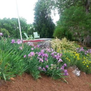 Photo of Mitchell Landscape Management