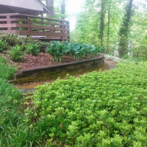 Photo of Mitchell Landscape Management