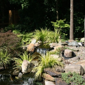 Monroe Barnhardt Landscaping & Design