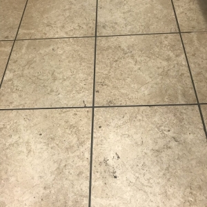 Photo of Toro Steam Cleaning