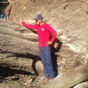 Photo of Union Tree Experts