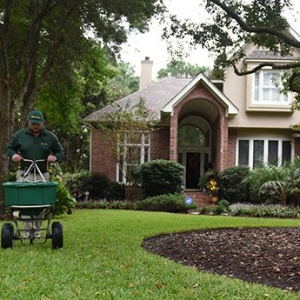 Photo of Weed Man