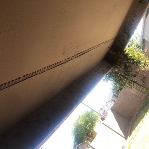 Photo of Top Cut Painting