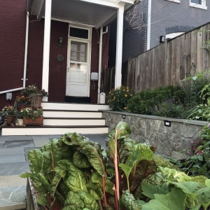 Photo of Xtra Care Landscaping