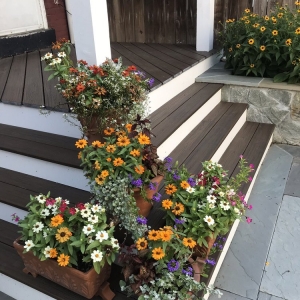 Photo of Xtra Care Landscaping
