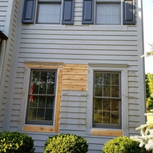 Houston Premier Painting & Home Repair