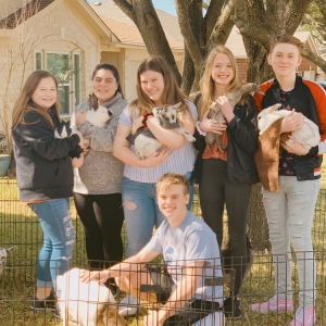 Photo of Fannie's Farm Friends