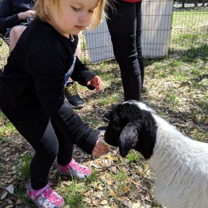 Photo of Fannie's Farm Friends