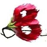 Photo of Built To Bloom