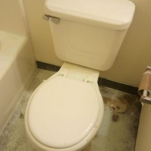 Photo of Maxistorm Janitorial Services
