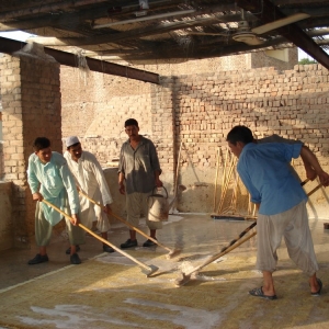 Photo of Amadi Rug Cleaning & Repair