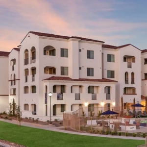 Photo of Arista at Ocotillo by Mark-Taylor
