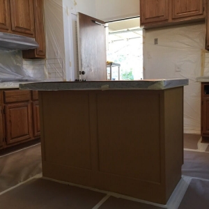 Photo of Reynolds Pro Painters