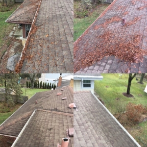 Photo of Windows and Gutters Cleaning