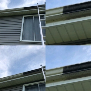 Photo of Windows and Gutters Cleaning