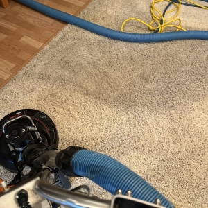 Photo of Sean's Carpet Care