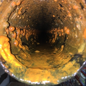 Photo of Fire Sprinkler Solutions