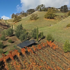 Photo of Solar Technologies Santa Cruz