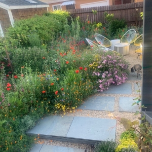 Photo of Mariposa Gardening & Design