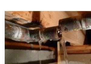 Photo of Hydroforce Cleaning Systems