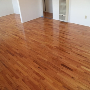 Photo of Ace Floor Care
