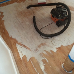 Photo of Ace Floor Care