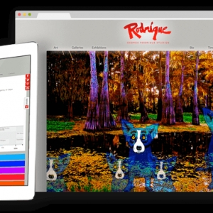 Photo of Design the Planet Digital Marketing & Website Design Agency
