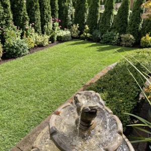 Photo of Advanced Landscape Services