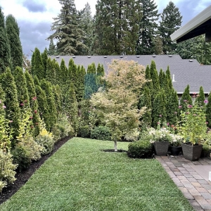 Photo of Advanced Landscape Services