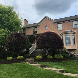 Photo of Q&A Landscaping