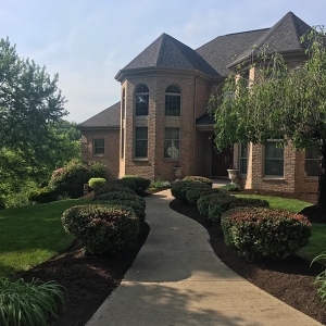 Photo of Q&A Landscaping
