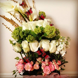 Photo of Cascade Events