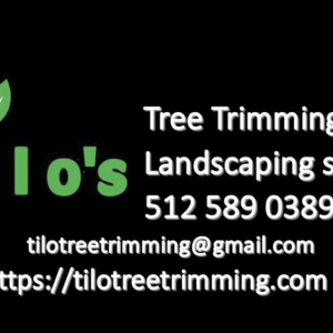 Photo of Tilo's Tree Trimming Services
