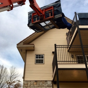 Photo of Bird Dog Moving Service