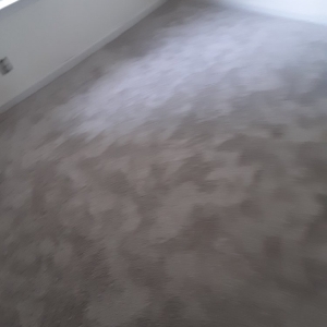 Photo of 1 Carpet And Floors