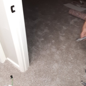 Photo of 1 Carpet And Floors