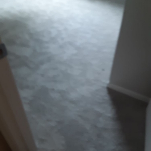 Photo of 1 Carpet And Floors