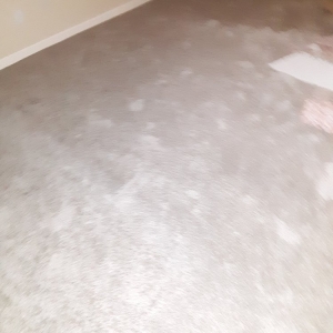 Photo of 1 Carpet And Floors